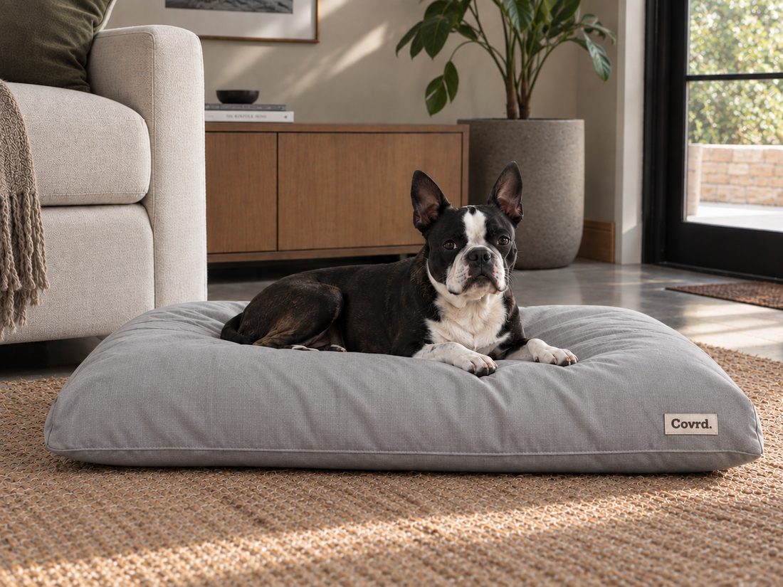 Dog Bed